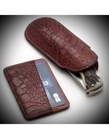 Ensemble alligator
