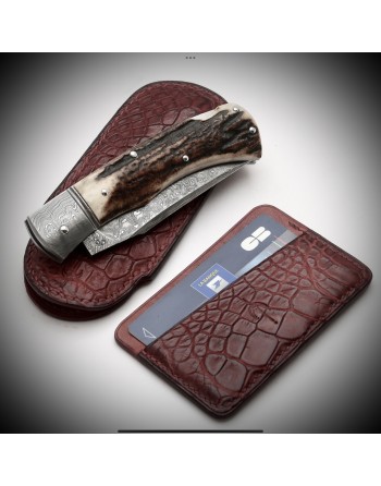 Ensemble alligator